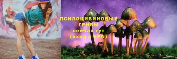 метамфетамин Богданович