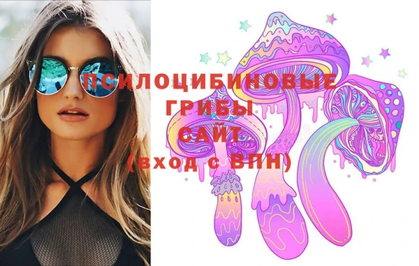 метамфетамин Богданович