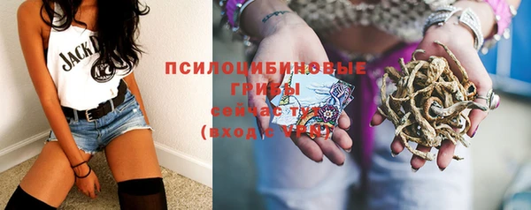 соль ск Богородицк